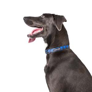 Pets: Wolves of Wellington - Dog Collar - Luey