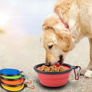 Pets: Travel Dog Bowl