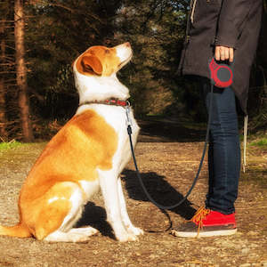 Pets: Retractable Dog Leash