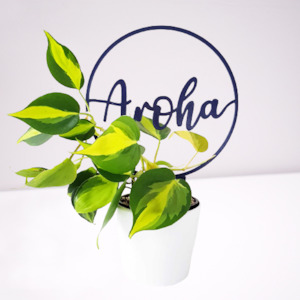 Garden: Aroha Climbing Frame