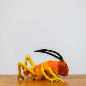 Products: Wiremu the Weta - Soft Toy