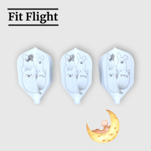 Darts: Fit Flight x D Craft Shape Ghost 2019