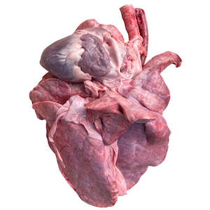 Dissection: Pig pluck (x1, Order In) — frozen