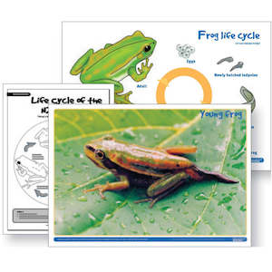 Topic Packs: Frogs