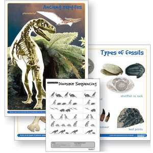 Topic Packs: Dinosaurs and Fossils