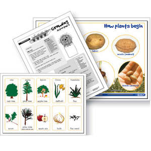 Topic Packs: Baby Plants