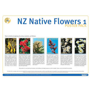 NZ Native Flowers 1 DIGITAL FILE