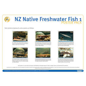 Primary: NZ Native Freshwater Fish 1 DIGITAL FILE