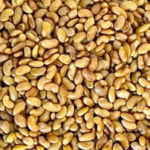 Primary: Alfalfa seeds