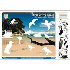 Birds at the Beach (Interactive poster)