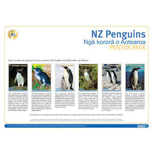 For Kids: NZ Penguins