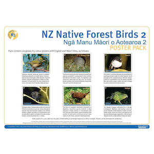 For Kids: NZ Native Forest Birds 2