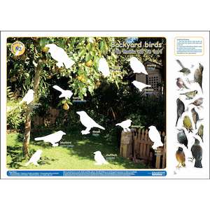 Interactive Posters: Backyard Birds (Interactive poster)