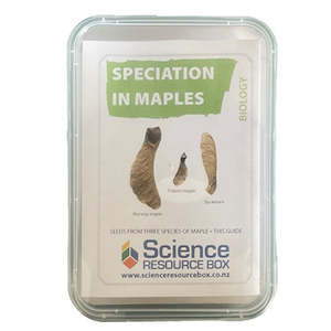New 1: Speciation in maples (NCEA Bio Level 3)