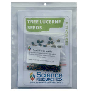 Living World: Tree lucerne seeds (NCEA Level 2 Bio, AS 2.3)