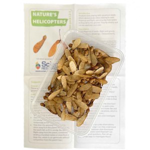 Nature's Helicopters (Science L2–3)