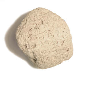 Pumice rock