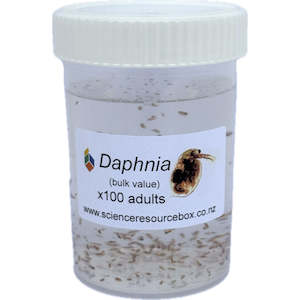 Daphnia live culture (bulk value)