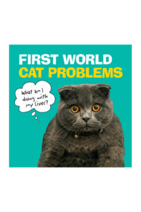 FIRST WORLD CAT PROBLEMS: WHAT AM I DOING WITH MY LIVES?