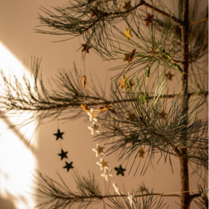 Shorts: Muskhane Stars Malla Garland - 100% Felt L200cm Stars 3cm