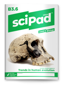 Biology: Biology 3.6 (Human Evolution) sciPAD