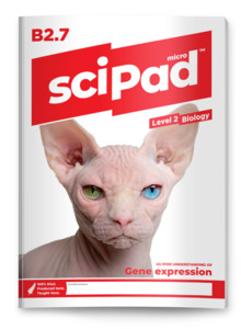 Biology 2.7 (Gene Expression) sciPAD