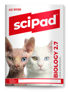 Biology: Biology 2.7 (Gene Expression) sciPAD