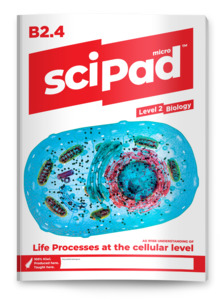 Biology: Biology 2.4 (Life Processes) sciPAD