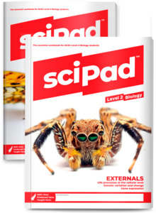 Level 2 Biology BUNDLE (Both External & Internal)