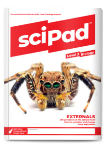 Level 2 Biology (Externals) sciPAD