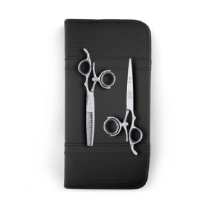 Apprentice Hairdressing: Sozu Silver Double Swivel Duo