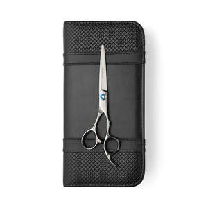 Matsui Silver Elegance Sky Blue Scissor