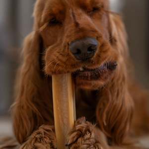 Drink: Chonkers - Goat Milk Chew