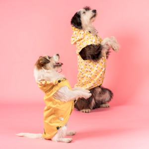 Scoop 1: Pablo & Co Rubber Ducky Raincoat