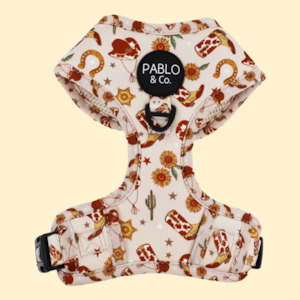 Pablo & Co Harness: Howdy