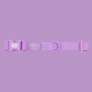 Pablo & Co Waterproof Collar - Lavendar