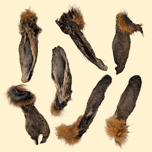 Eat: Chewsday | Bunny Ears