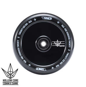 Wheel 120mm: Envy 120mm Hollowcore