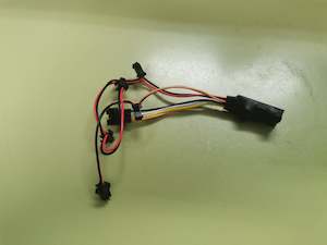 Hiley Tiger Light Module