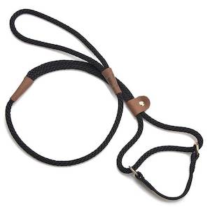 Mendota Dog Walker Martingale Lead - Small Dogs