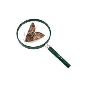 Magnifying Glasses For Kids: Carson BigEye 2.5x Kids Magnifier