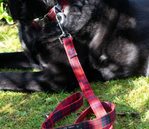 Pets: Tartan Dog Lead