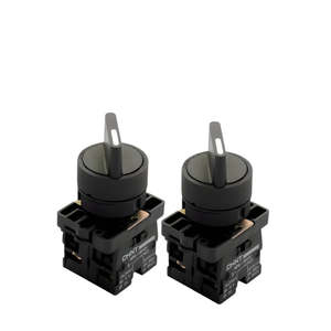 Chint NP2-ED25 2 Position Locking Switch 1 x N/O 1 x N/C Contacts