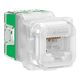 Schneider RJ45 JACK CAT6 UTP 40M TRANSLUCENT