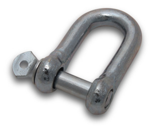 Chain: Elecsupp D Shackle 10mm Pin Galv Each