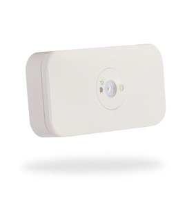 Emergency: Clevertronics L10 Surface Mount WP Lifelight.CTP