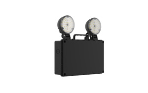 Emergency: Elmark Apollo Flood 2 x 3W IP65 EM Black