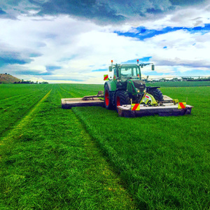 Balage – Scott Simpson: Grass