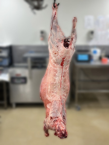 Products: Lamb – Whole – Scotty's Meats