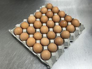 Products: Pantry – Eggs (tray) – Scotty's Meats